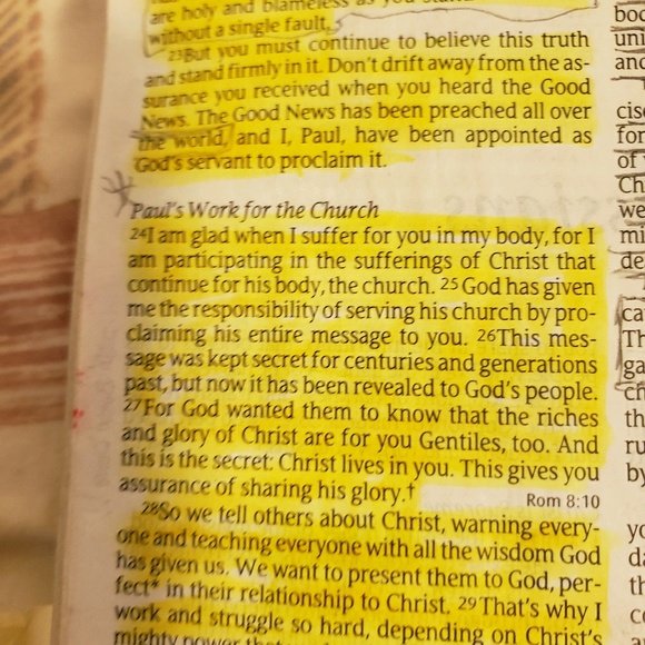 Meet your Posher, Bruce - Picture 1 of 1